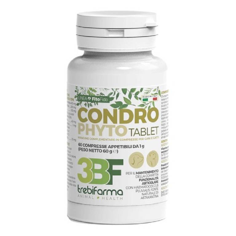 CONDROPHYTO 60CPR 1G